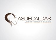 asdecaldas-100